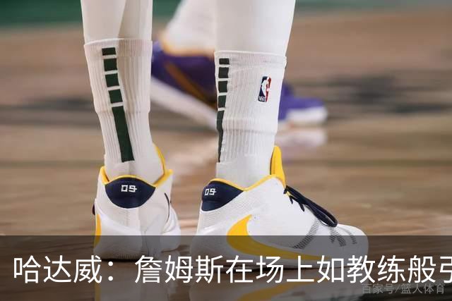 哈达威：詹姆斯在场上如教练般引导队友角色理解